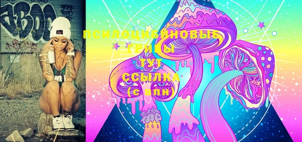 PSILOCYBIN Каменск-Шахтинский