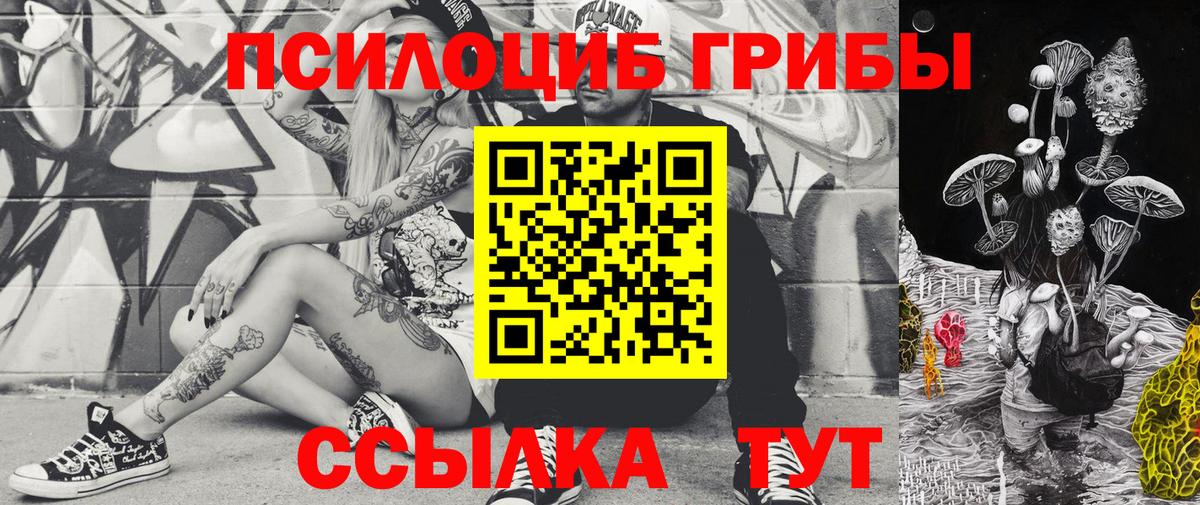 Псилоцибиновые грибы Psilocybe  наркота  Карпинск  Вход с VPN 