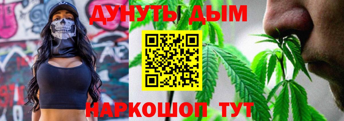 Шишки марихуана марихуана  Канабис сатива  Вход с VPN  Карпинск 